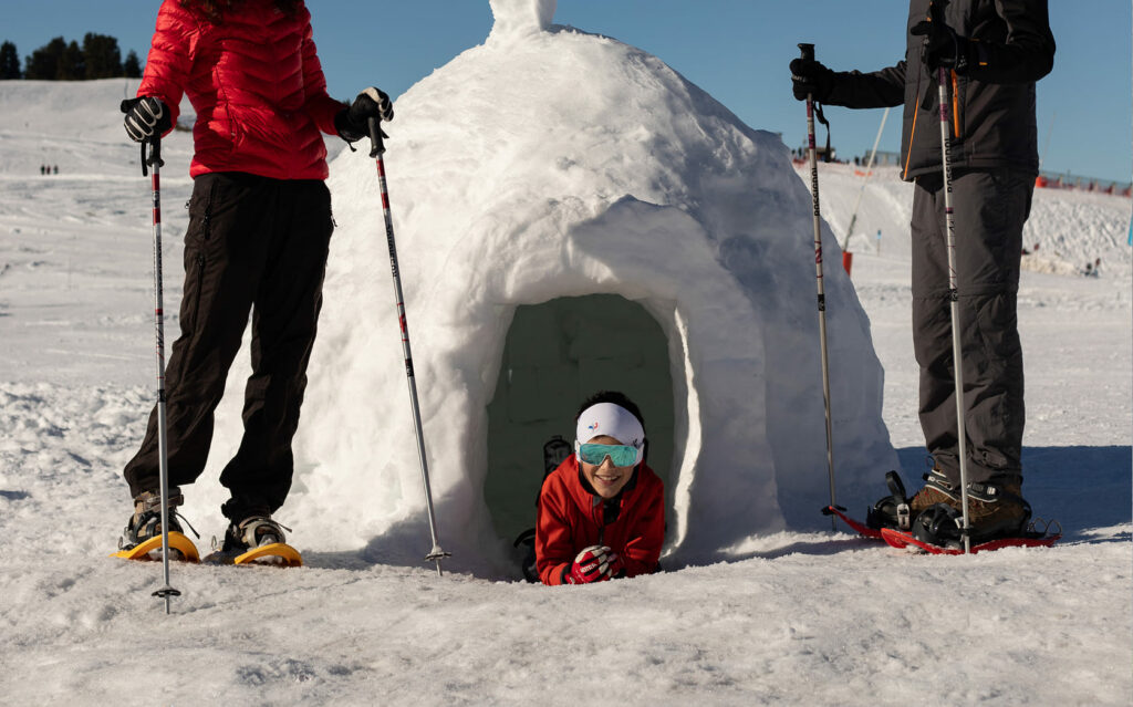 Activités de neige